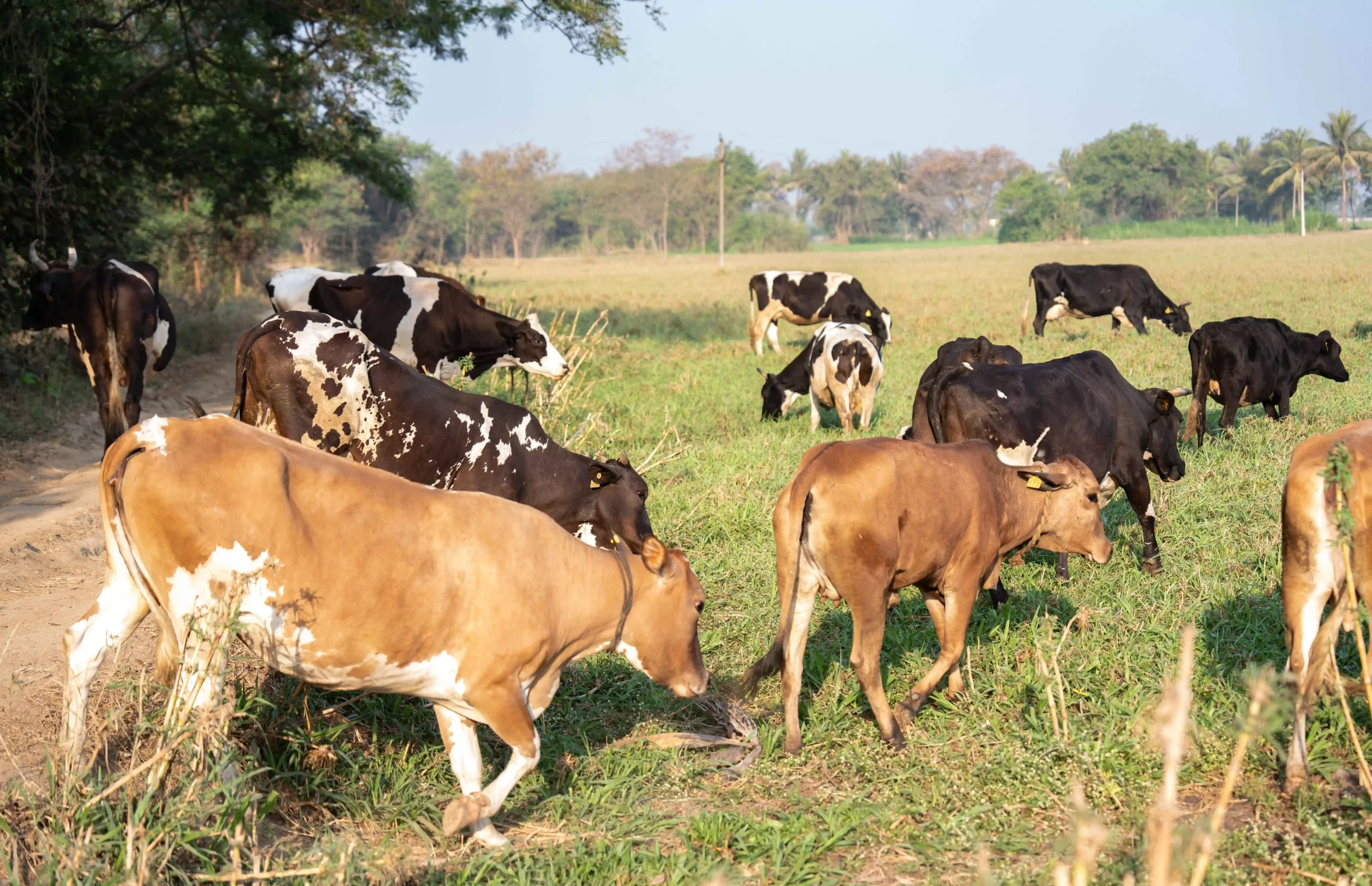 DSC05766_4_11zon-scaled