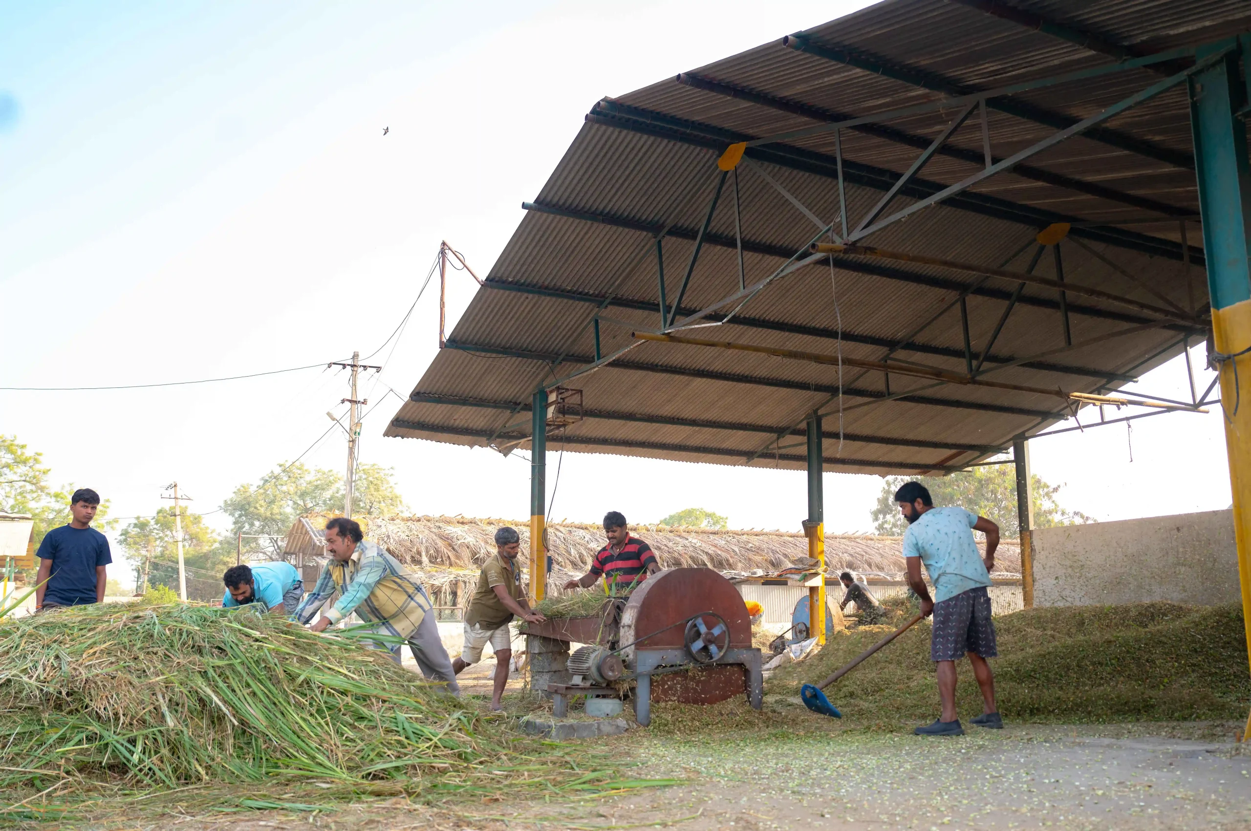 DSC05806_6_11zon-scaled