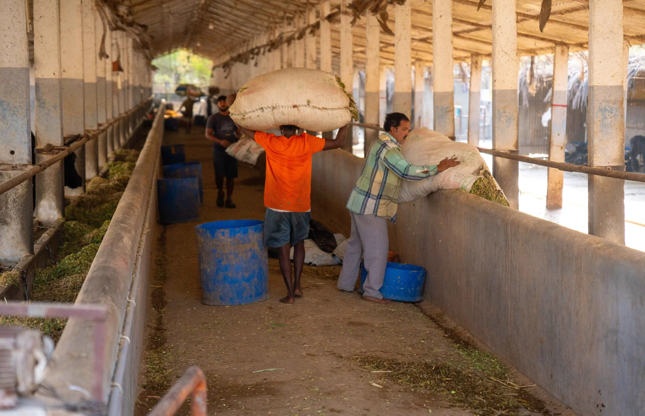 DSC05897_10_11zon-scaled