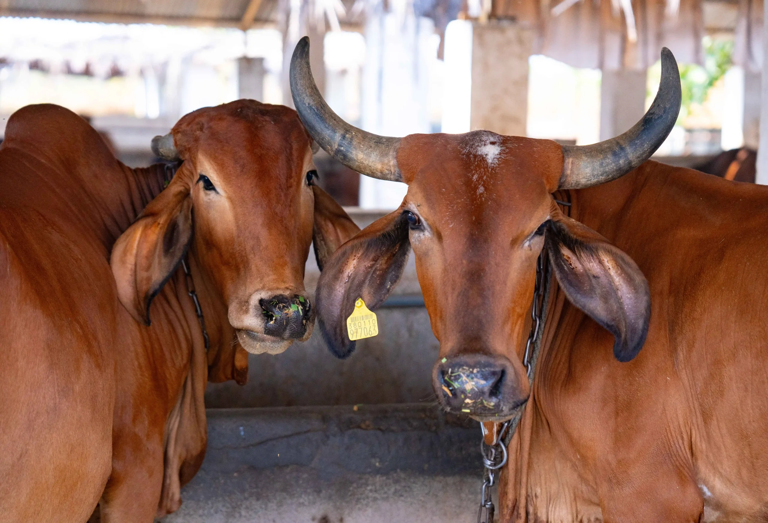 DSC05971_11_11zon-scaled