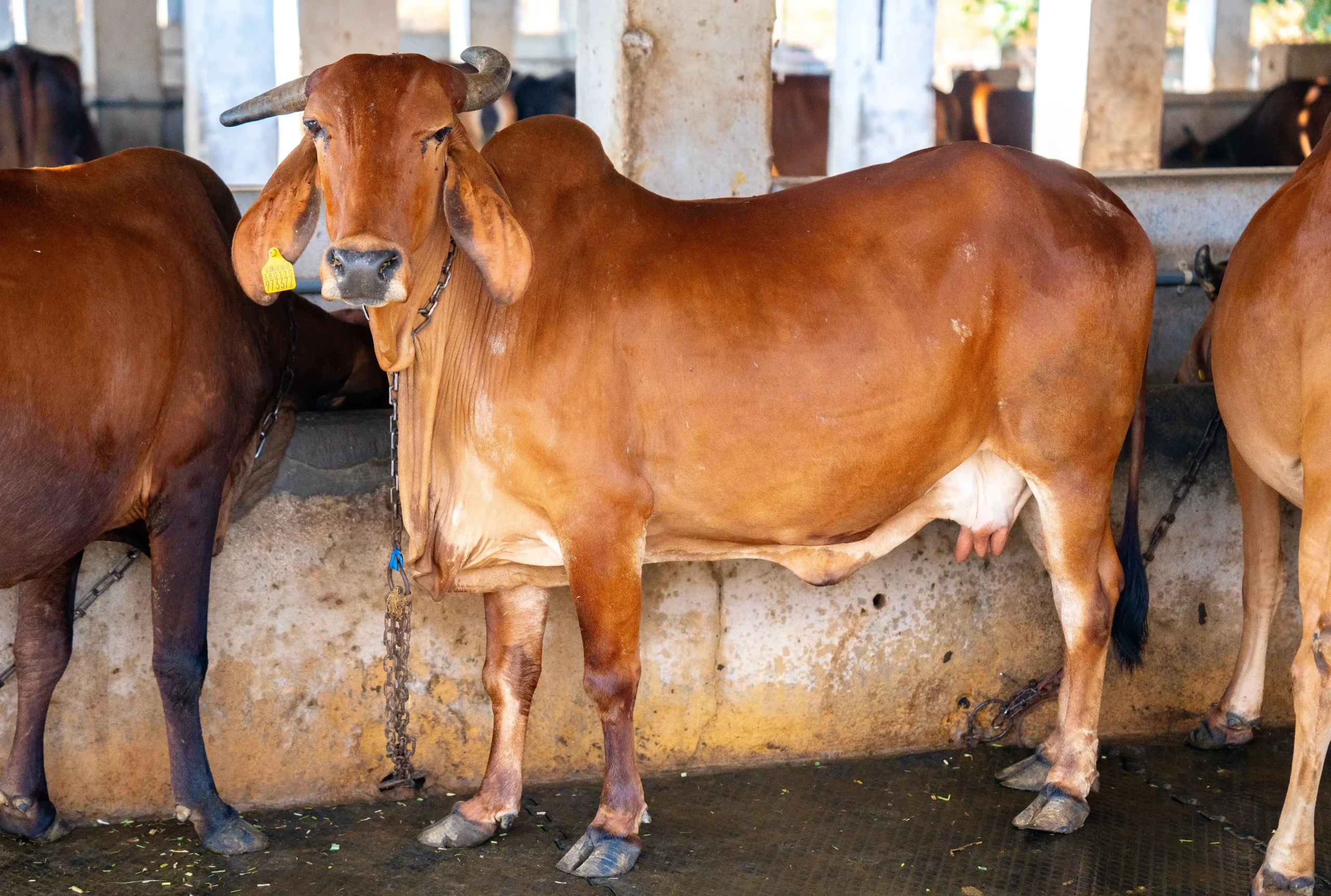 DSC06015_2_11zon-scaled