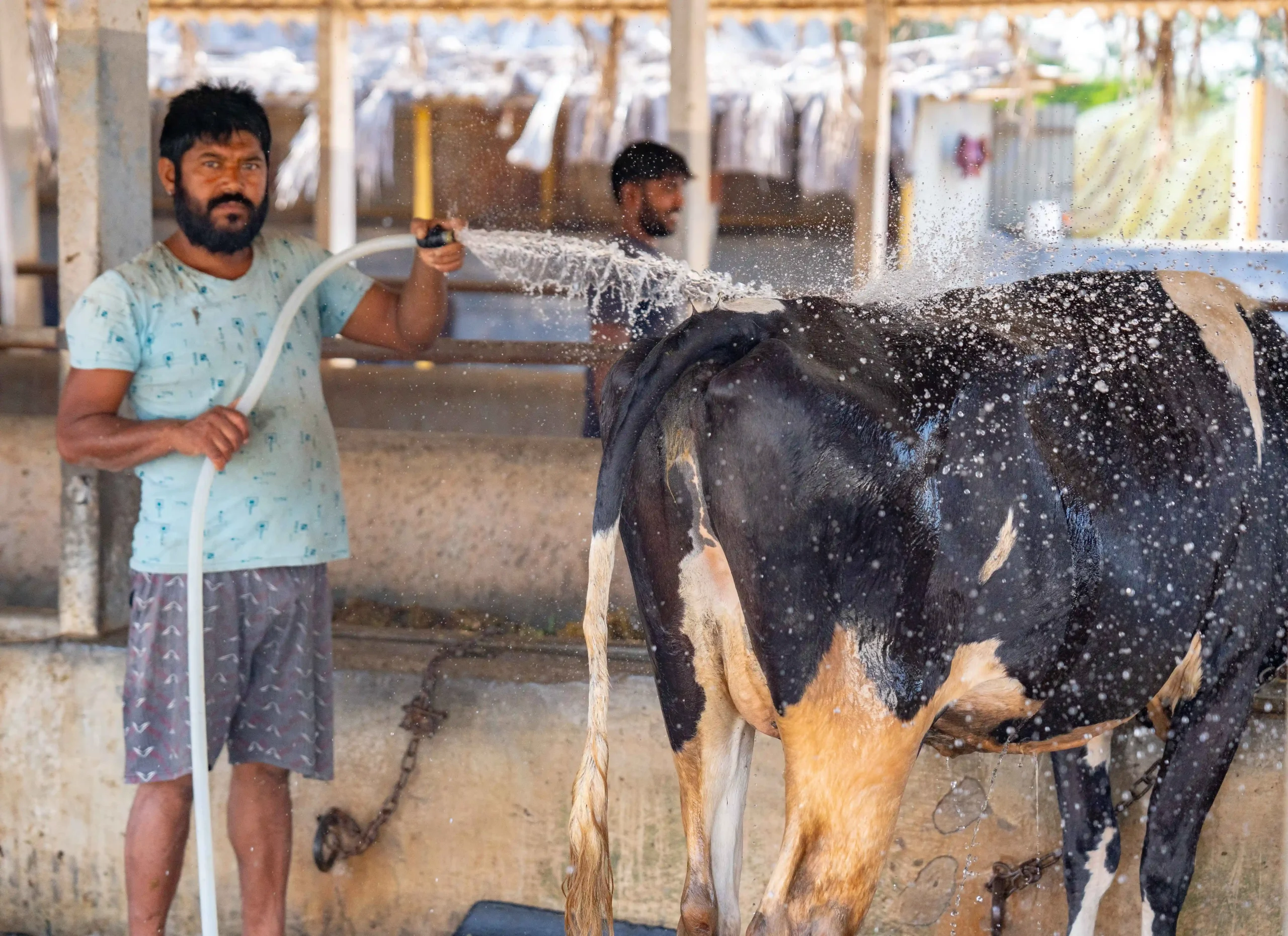 DSC06147_9_11zon-scaled