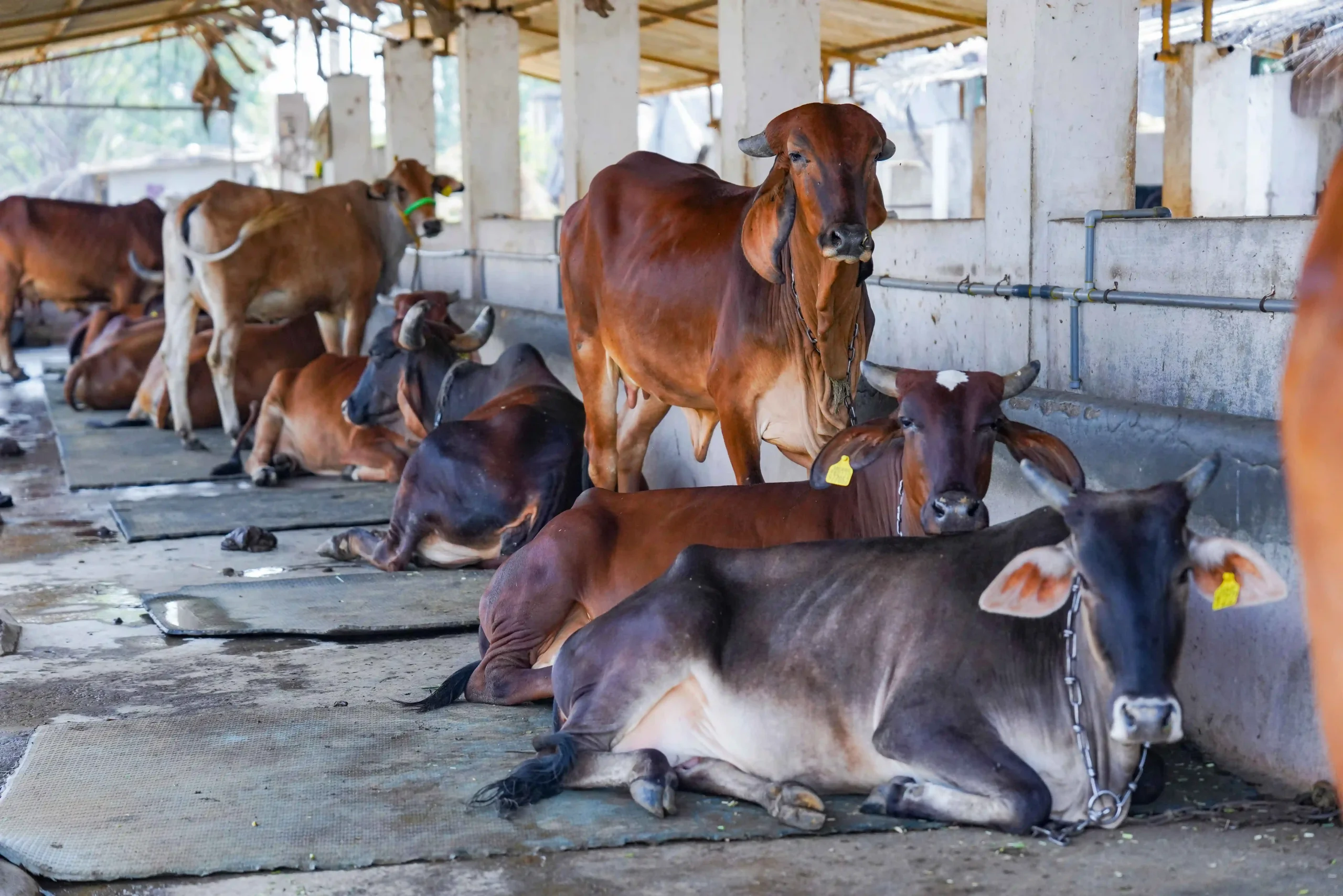 DSC06449_1_11zon-scaled