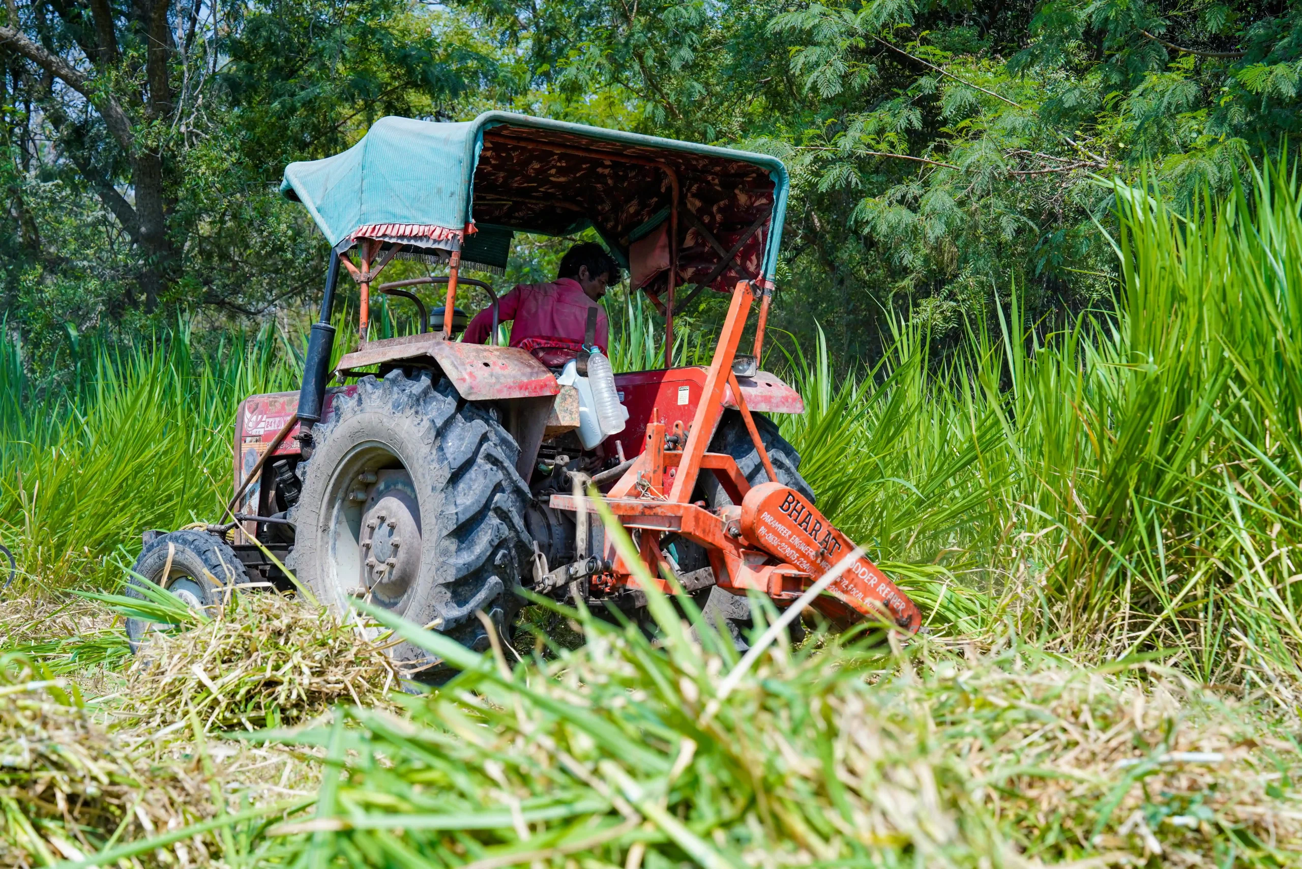 DSC06663_2_11zon-scaled