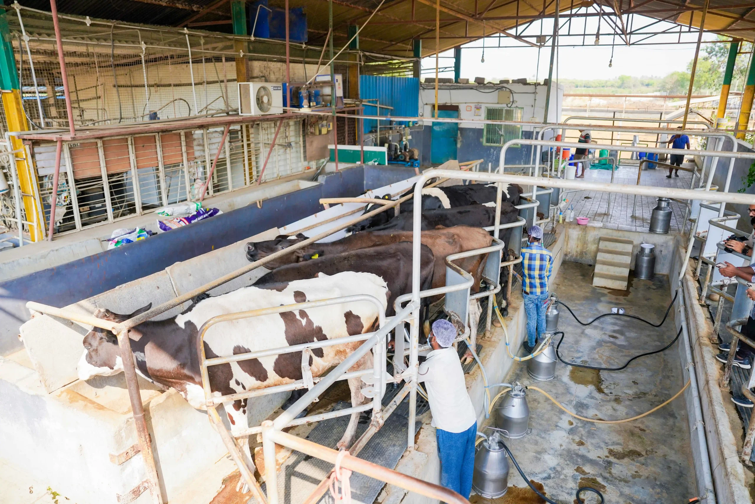 DSC06816_5_11zon-scaled