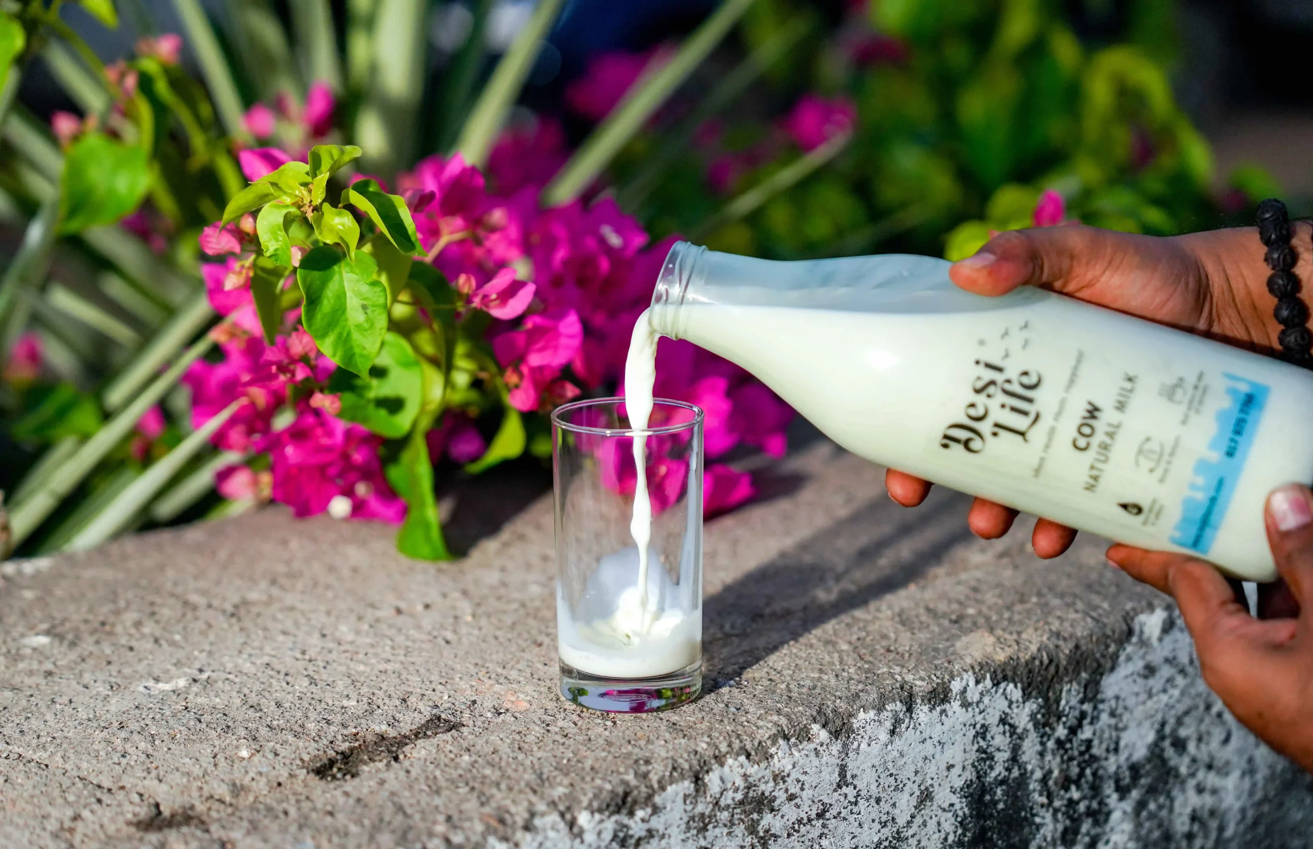 DSC07476_1_11zon-scaled